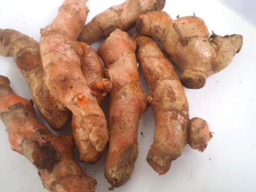 Shopping in US Asian Markets – Turmeric Root!